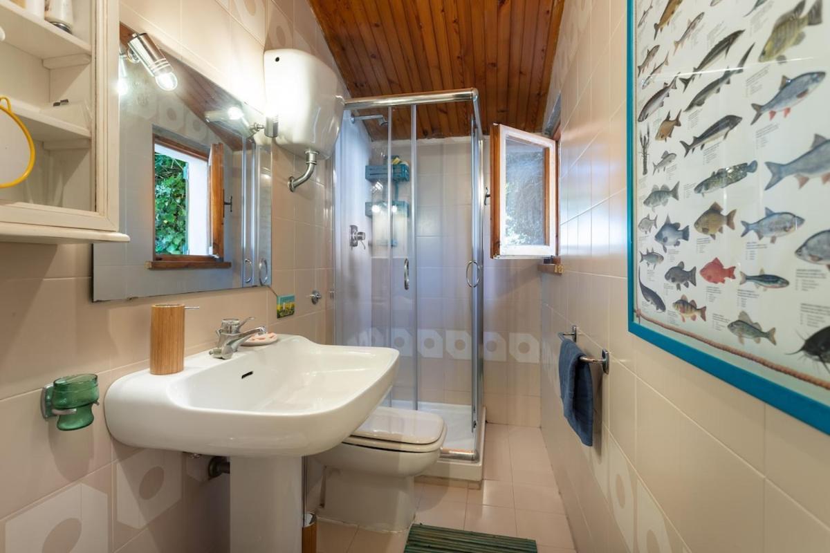 Chalet Sul Trasimeno SantʼArcangelo Dış mekan fotoğraf