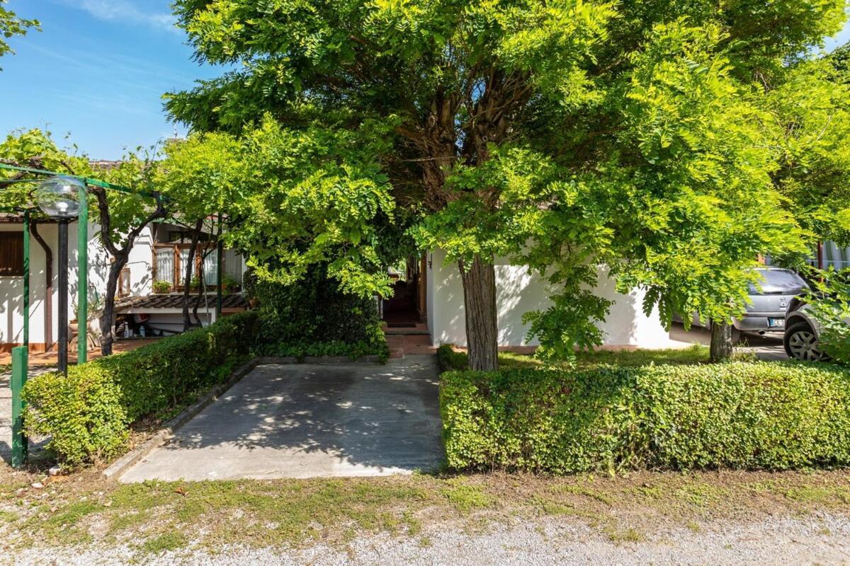 Chalet Sul Trasimeno SantʼArcangelo Dış mekan fotoğraf
