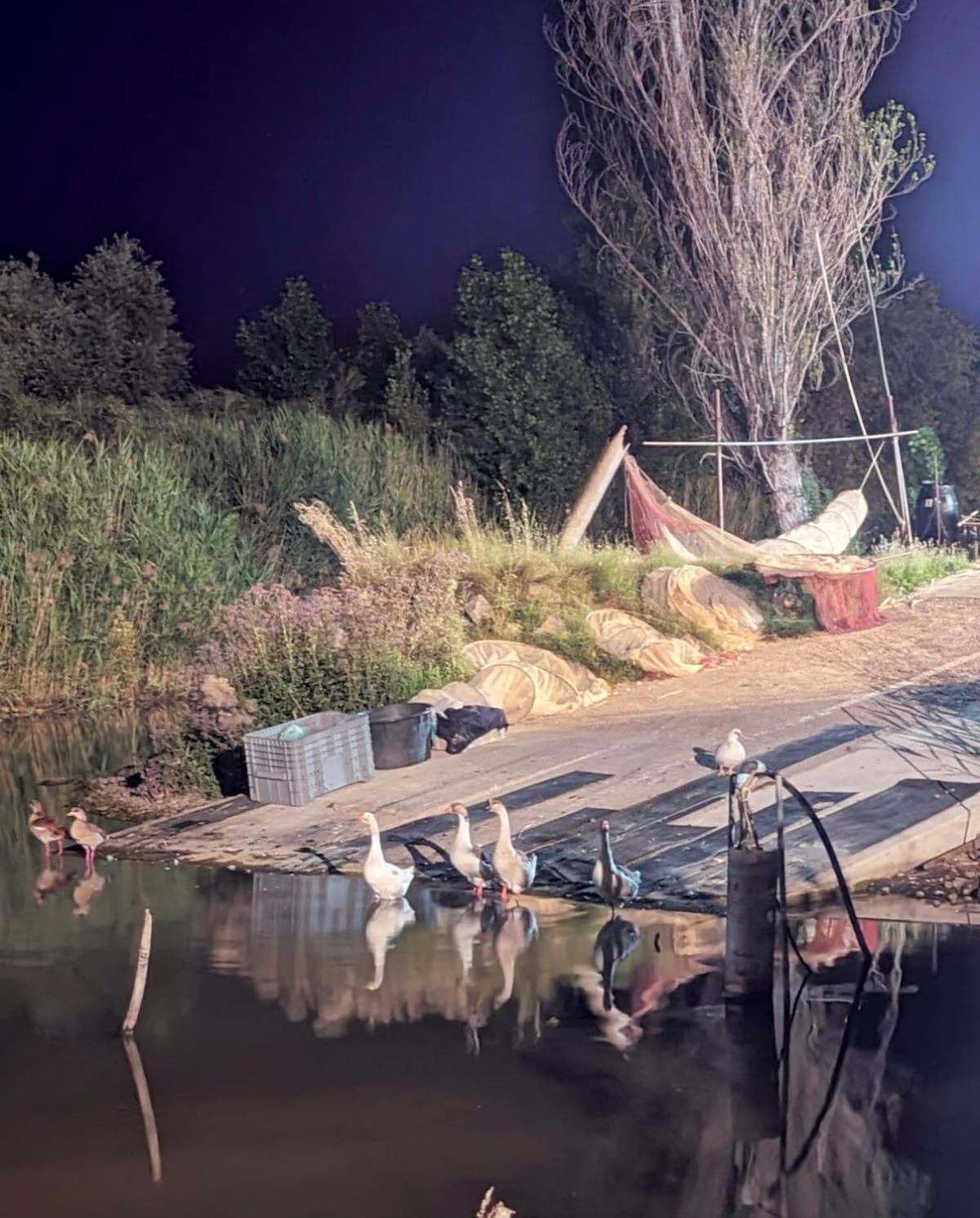 Chalet Sul Trasimeno SantʼArcangelo Dış mekan fotoğraf